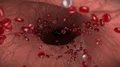 Blood cells red white vein artery bloodcells biology medical science doctor 4k 4k or 4k+ Resolution
