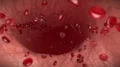 Blood cells red white vein artery bloodcells biology medical science doctor 4k 4k or 4k+ Resolution