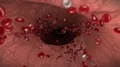 Blood cells red white vein artery bloodcells biology medical science doctor 4k 4k or 4k+ Resolution