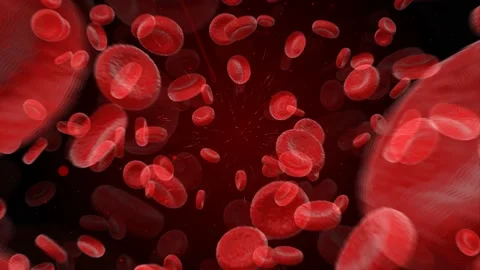 Blood Cells Stream Stock Footage 172114556