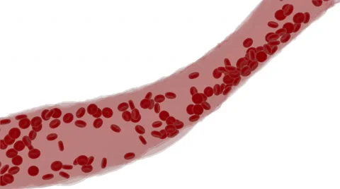 Blood cells stream in vein. Inside organism view. Alpha channel Stock Footage 56462199