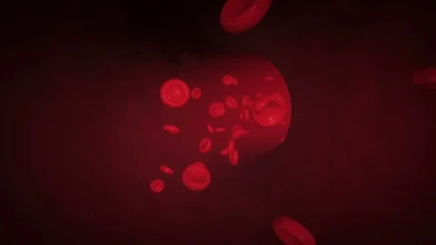Blood cells traveling through a vein Stock Footage