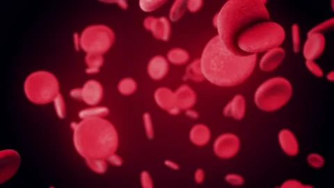 Blood Cells Under A Large Increase Move Along The Artery Or Vein 2 4k Stock Footage 145495061