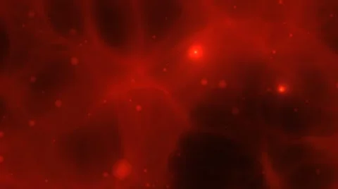 Blood cells under microscope Stock Footage