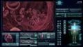 Blood cells in vein. HD Footage
