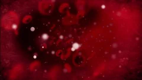 Blood cells in vein - loop background Stock Footage