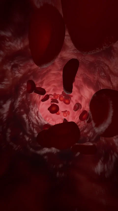 Blood Cells Vertical Flowing Inside Artery Tunnel Medical Circulation Animation. Stock-Footage 329225297