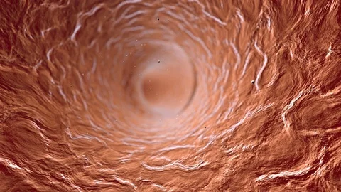 Blood circulates in the vein Stock Footage 101487949