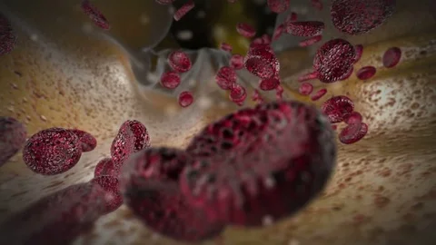 Blood circulation in the bloodstream Stock Footage 74676877