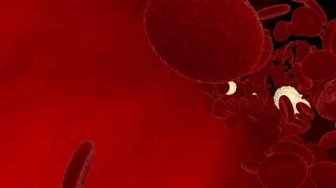 Blood circulation Stock Footage 42608111