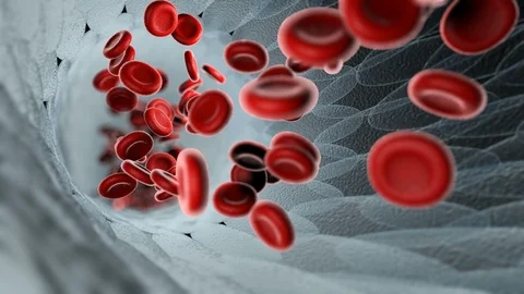 Blood DNA looping. Vídeos de archivo 86436981