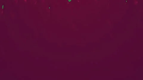 Blood dripping down it red bunch of flowers person ' s hand paint christmas on Stock-Footage 335987690