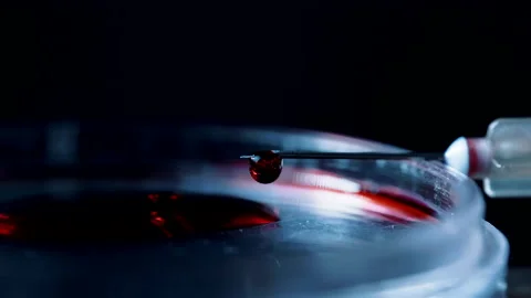 Blood drips from the tip of the needle. Close up Stock-Footage 143215812