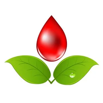 Blood drop with leafs Stock Illustration