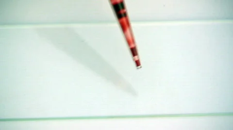 Blood Drop on microscope slide Video stock 124483