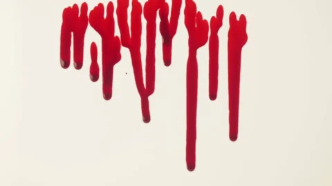 Blood Drops Dripping On White Background Stock Footage 146208554