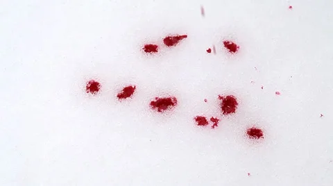 Blood drops in snow Stock Footage