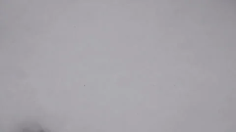 Blood Drops In Snow Stock Footage 122986534