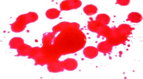 Blood drops on white background Stock Footage 36436730