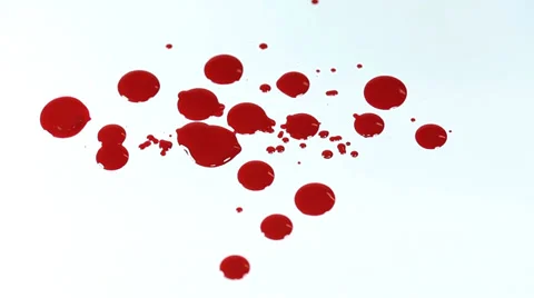 Blood drops on white background Stock Footage 36437579