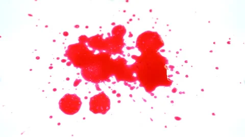 Blood drops on white Stock Footage 36437900