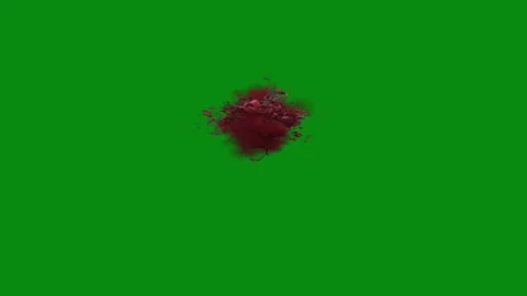 Blood Explosion 4K Transparent Effect Stock Footage 306038790