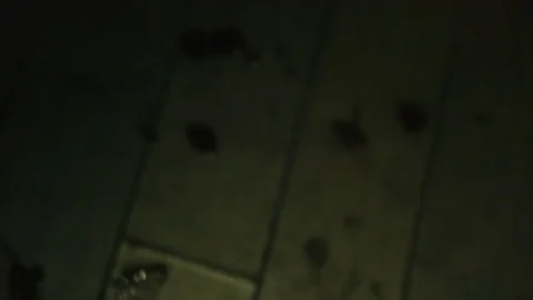 Blood on the floor, POV Stock-Footage 70729068