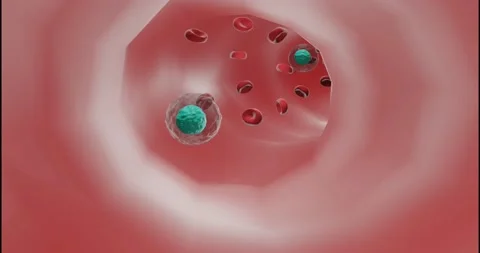 Blood flow in 3D animation Stock Footage 136448808