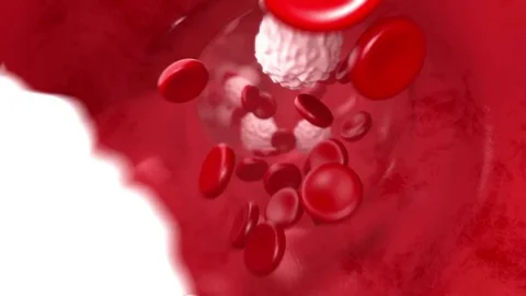 Blood Flow Animation Stock Videos – Royalty-Free HD & 4K Videos | Page 2