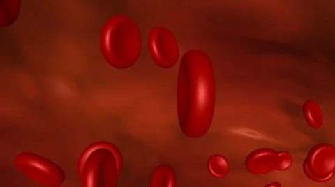 Blood flow | blood stream in artery or vein Stock Footage