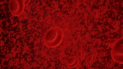 Blood flow cells inside human vein Stock Footage 126978867