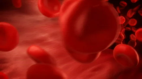Blood Flow Stock Footage 841656