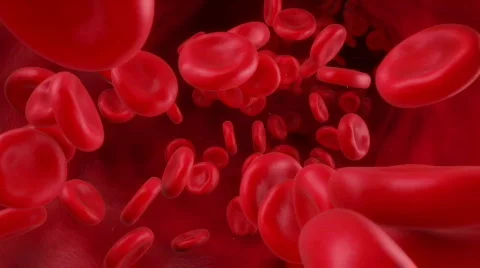 Blood Flow Stock Footage 841661