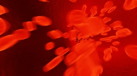 Blood flow Video stock 11145267