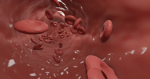 Blood flow Stock Footage 232935767