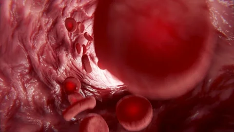 Blood flowing through the arteries, 3d a... | Stock Video | Pond5