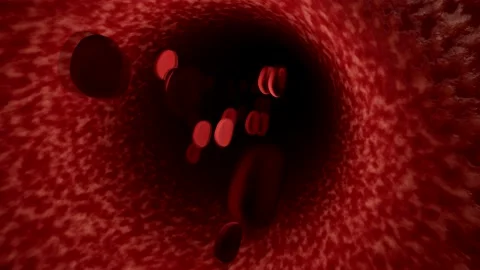 Blood Flowing Through Veins Stock Footage 192047751
