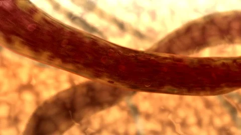 Blood Flowing through Vessel Stock Footage
