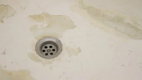 Blood flows into the hole of the shell Video stock 106478162