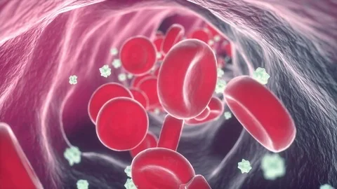 Blood flows inside vein 3d Stock Footage 72161157