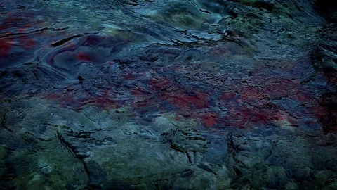 Blood Flows In River In The Evening Stock Footage 99355492