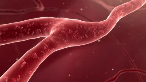 Blood flows through vessels with red blood cells in motion. Stockbeeldmateriaal 344954119