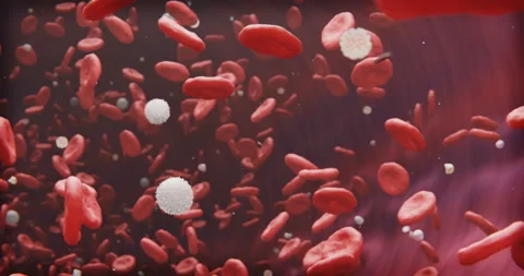 Blood flows in a vein. Stock Footage 128432359