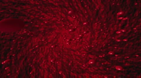 BLOOD Video stock 2455873