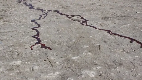 Blood Stock Footage 76268790