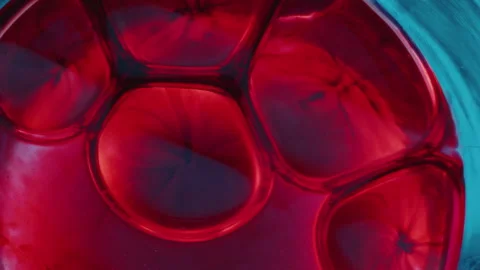 Blood Forming Cellular-Like Patterns in Glass Container during Medical Test Stock Footage 280202446