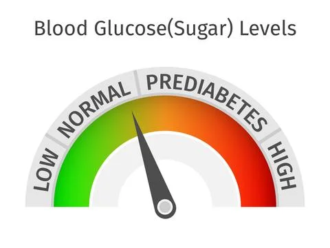 Blood Glucose Sugar Level Indicator Gauge Infographic Stock Illustration