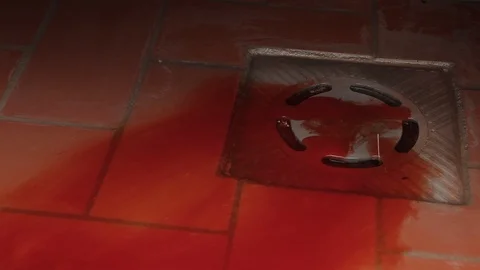 Blood Goes Down The Drain Stock Footage 109073411