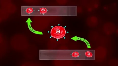 Blood Platelets Stock Footage ~ Royalty Free Stock Videos | Page 9