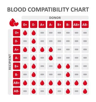 Blood group compatibility table Stock Illustration